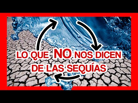 Por qué hay sequías e inundaciones al mismo tiempo?