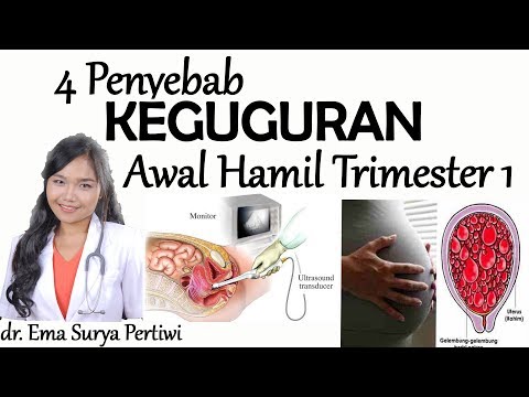 , title : '4 Penyebab Keguguran Awal Hamil - Kehamilan Abnormal Trimester Pertama | dr. Ema Surya P'