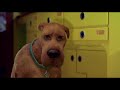 Peter Rabbit Y Sus Amigos Thomas Y Sus Amigos T3E11 No Es Ninguna Broma Para Scooby Doo