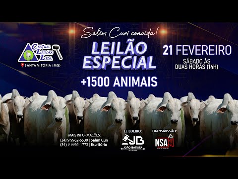 🌾  Leilão Especial Carga Fechada  - Central Leilões - Santa Vitória (MG) - 21 de FEVEREIRO