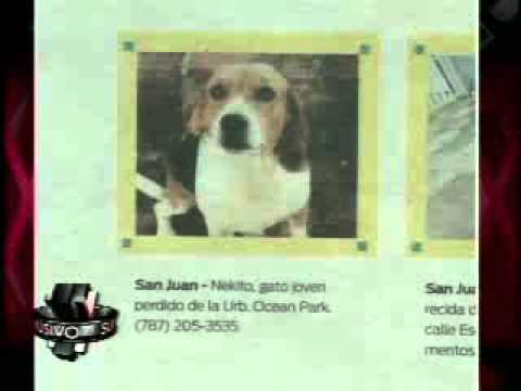 SuperXclusivo 1/11/11 - Blooper de El Nuevo Día