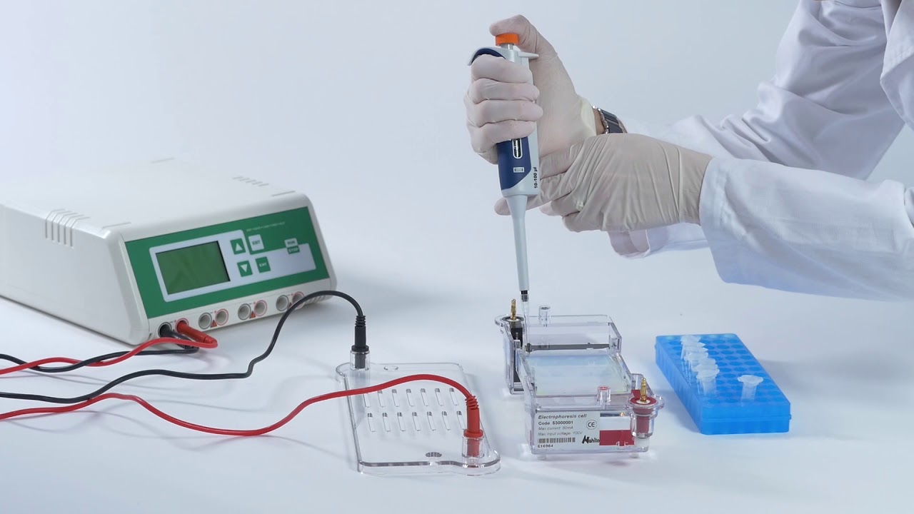 What is an electrophoresis apparatus?