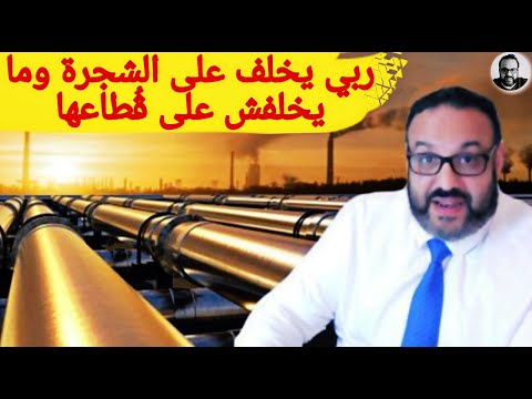 ربي يخلف على الشجرة وما يخلفش على ڨُطاعها