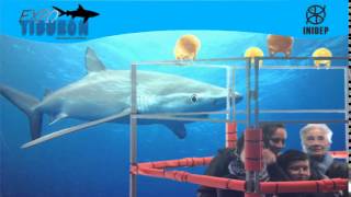 DIA 2 Expo Tiburon242