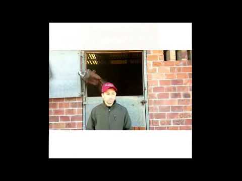 Black Cat Back Matchem Stakes.