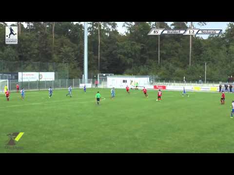 Regionalliga Südwest, 9. Spieltag: FC Astoria Walldorf vs. SpVgg. Neckarelz - Zusammenfassung