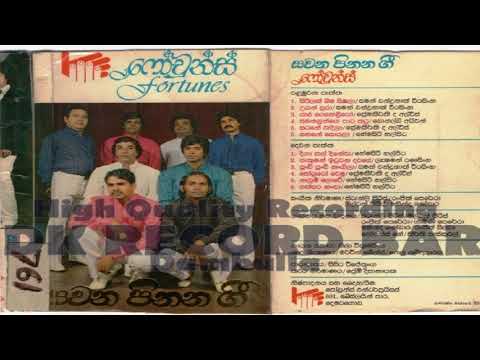 Fourtunes - Sohoyuro