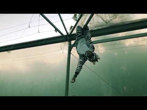 WE ALL WANT TO - All Day