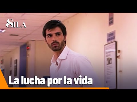 ¿Vivirá Firuz Agha? - Sila Capítulo 69