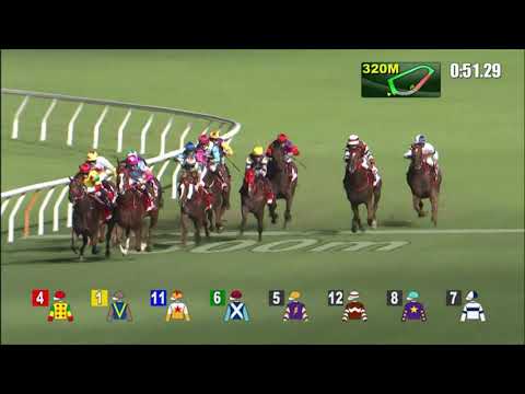 15/9/2021 (36) Harmony And Rich - Matthew Chadwick