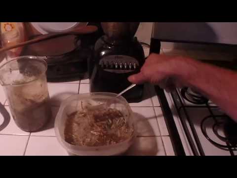 Alkaloid Alchemy-After The Poppy Seed Harvest