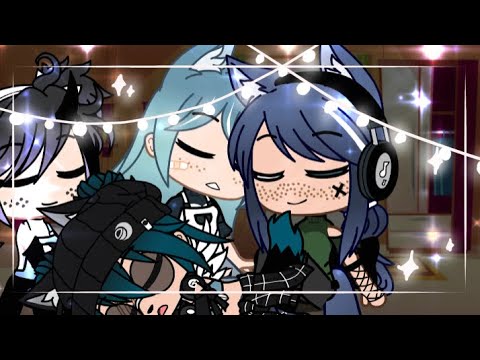 💫Meet the Constellations💫