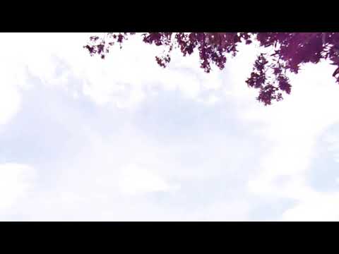 PROPÓSITO (MC'BLESS ft YEYO'MC - MENFLEED'MC) 2019