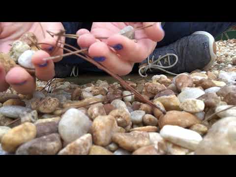 ASMR // Nature Sounds (rocks, pine straw, camera messing)