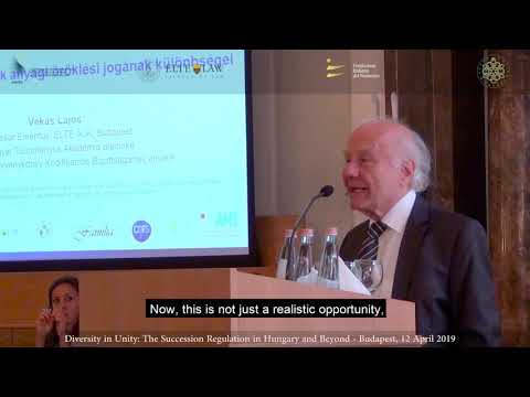 4/7: Nemzetközi kollíziók / International discrepancies (Vékás Lajos)