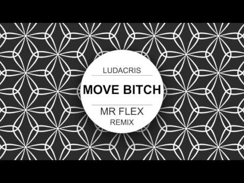 Move Bitch