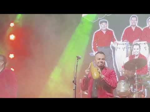 The Crazy Kings Live