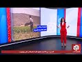 يمني دق دق 77