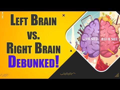 Debunking the Left-Right Brain Myth (Neuroscience)