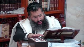 ההלכה היומית ליום שני כ''ד איר פ''ו   דיני בשר בחלב