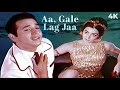 Aa Gale Lag Jaa 4K Song Biswajeet Saira Banu Mohammed Rafi Ki Awaaz Mein April Fool 1964