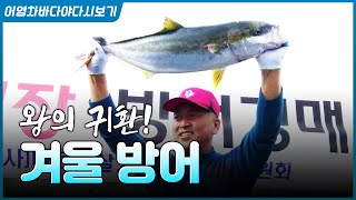 겨울 바다에서 절대 빠질 수 없는 존재, 겨울 방어! #방어 #바다 #방어회 #생선