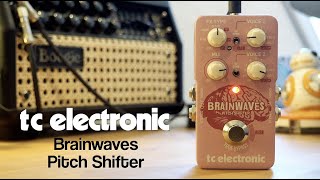 Video thumbnail for TC Electronic Brainwaves Pitch Shifter by Pedal of the Day