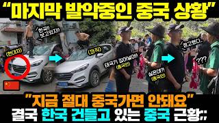 Download lagu Chinese Reactions | Please be sure to share this with the people around you.. mp3