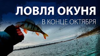 Рыбалка на окуня к конце октября