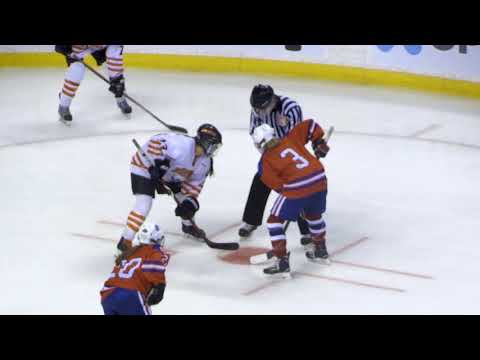 Woburn Girls Hockey vs Tewksbury/Methuen MIAA Finals 2017-2018