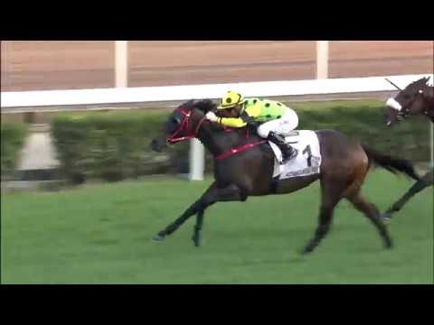The Hong Kong Classic Mile 2018 - Nothingilikemore (Joao Moreira)