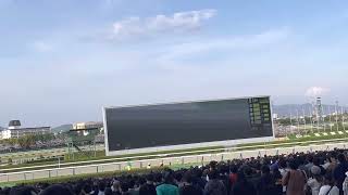 大阪杯　スターズオンアースの単勝買った奴の映像