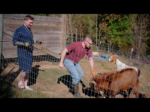 Farm Chores with Matt: Trimming Goat Hooves with My Husband