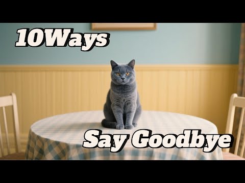 10 Ways Cats Say Goodbye Before They Die😺😱#hellomochi #catbehavior #catasmr