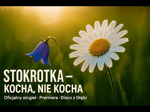 Stokrotka — Kocha, nie kocha | Disco z Głębi