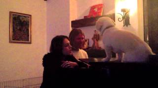 Mike &amp; Liz Sing OK