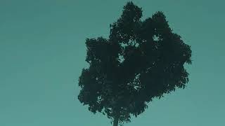 Download lagu Kumpulan Lagu Vicky Salamor Full Album Lagu Timur 2021 !! Lagu Timur Paling Hits dan Populer !! mp3