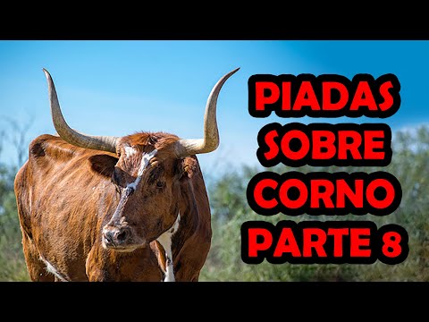 PIADAS SOBRE CORNO PARTE 8 - HUMORISTA THIAGO DIAS