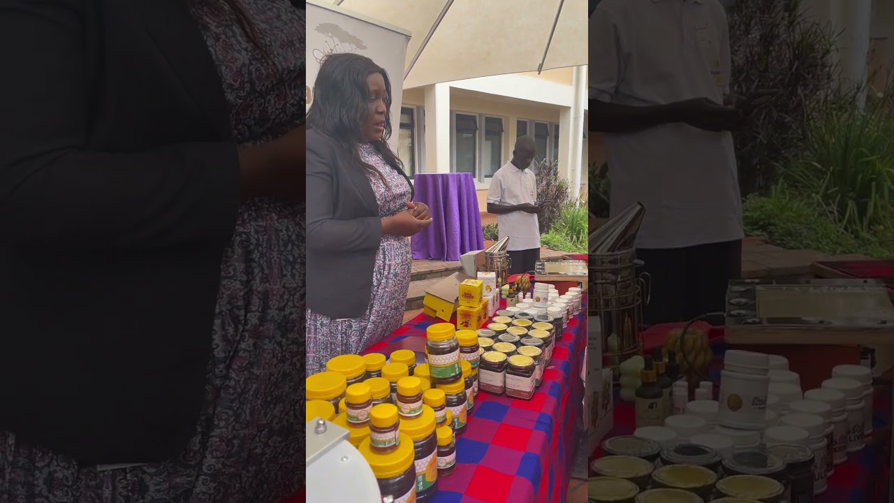 International Women's Day 2026 event highlights