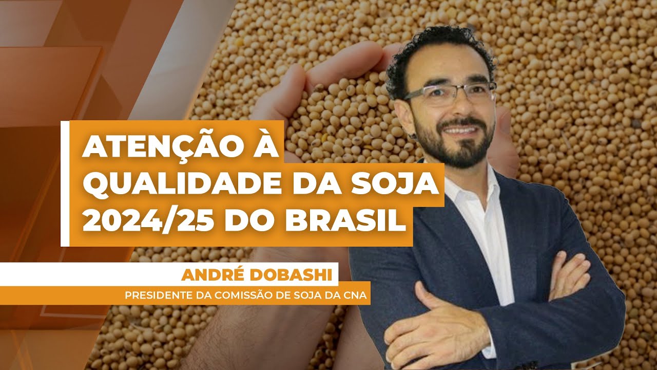 Qualidade de parte da soja do Brasil sofre com clima irregular marcando a safra 2024/25