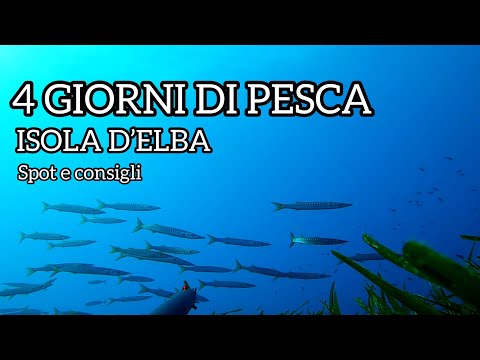 ELBA PESCASUB | 4 giorni di mare