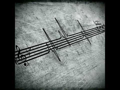 Omu-n lume când se naște ( Cover Florin Salam) Negativ