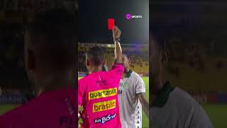 "SITUAÇÃO MUITO INFANTIL" VAR VÊ PISÃO DE LUCCA E ATACANTE DO GUARANI É EXPULSO NO PAULISTÃO #shorts