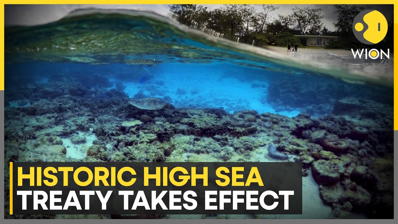 High Seas Treaty Now Law: Oceans Gain Global Shield | WION