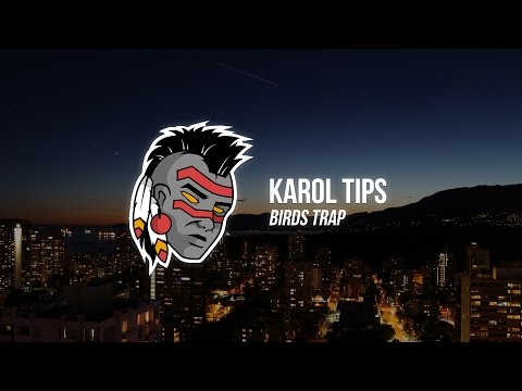 Karol Tip - Birds Trap
