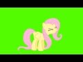 Fluttershy Yay - Green Screen Ponies 