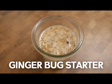 How To Make A Ginger Bug Starter