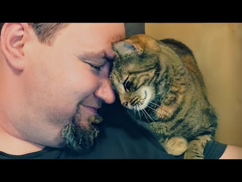 Why Cats Are ​Actually​ Man's Best Friend - Cat Shows Love To Owner