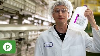 Publix Jobs: What's it Like to Work for Publix Manufacturing