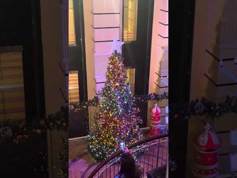 Thumbnail for Tree Lighting on Carnival Breeze 12/2/24